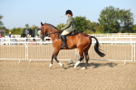 SBM_01215