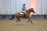 SBM_002271