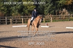 BPP_8005