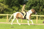 SBM_67465