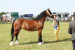 SBM_02356