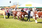 SBM_08332