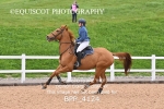 BPP_4124