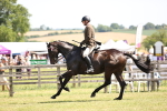 SBM_14929