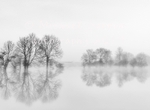 Reflection in a Turlough