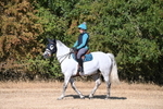 WJ6_6918