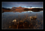 Rannoch Light