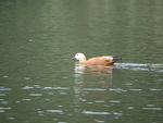 CHINA__0123