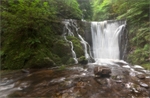 Alva's McArthur glen falls (almost autumn)