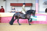 SBM_11873