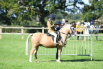 SBM_39544