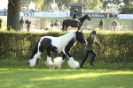 SBM_60847
