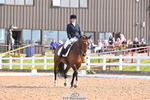 175-Lucy.Willetts-Trebedw.Xavier portfolio