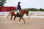SBM_05622