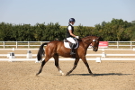SBM_006462