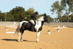 SBM_16597