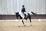 SBM_000231