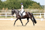 SBM_001558
