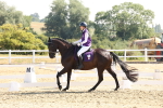 SBM_002995
