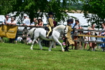 SBM_05781