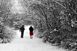 Snow - 32