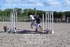 BPP_6713