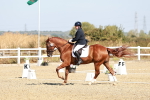 SBM_017030