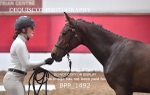 BPP_1492