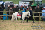 SHETPR 210425 45