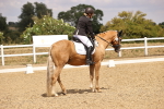 SBM_008800