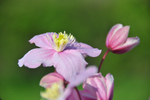 ACP_3297