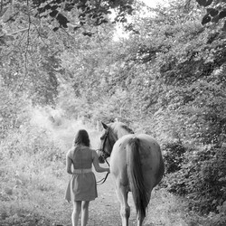 Equine Photo Shoot 11