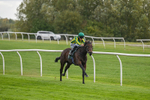 171026-Race 2-Inkberrow-4927
