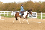 SBM_000757