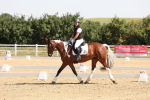 SBM_003401