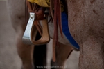 Rodeo 045