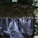 cascade-1-1671
