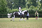 WJ6_7919