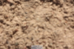 240629A-091943-02918