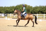 SBM_009492