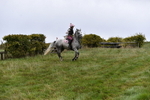 WJ5_5888