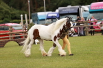 SBM_06040