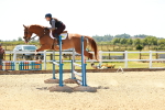 SBM_006637