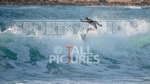 Vazon Surfing_27-02-2021-16