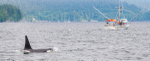 Ketchikan -89