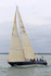 190803 WINSOME NED118 1Y3A7644