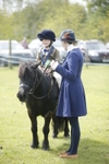 Class 7 - Pony Judge Would Most Like To Take Home portfolio