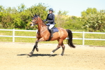 SBM_000771