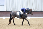 SBM_008351