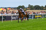 300826-Race 5-Harb-1109